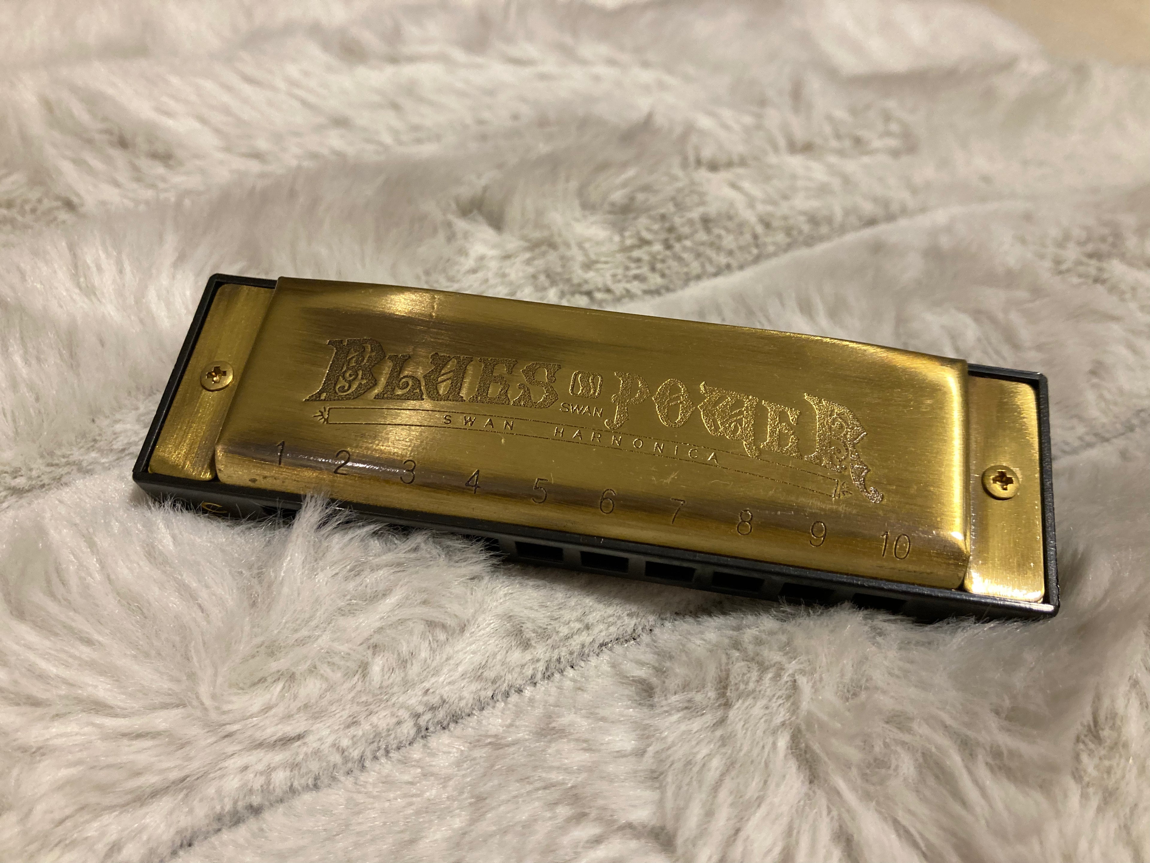 Armónica Blues Power