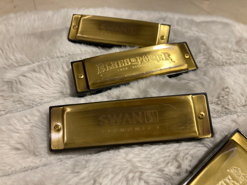 Armónica Blues Power